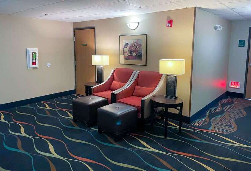 ホテル Comfort Inn & Suites Midtown
