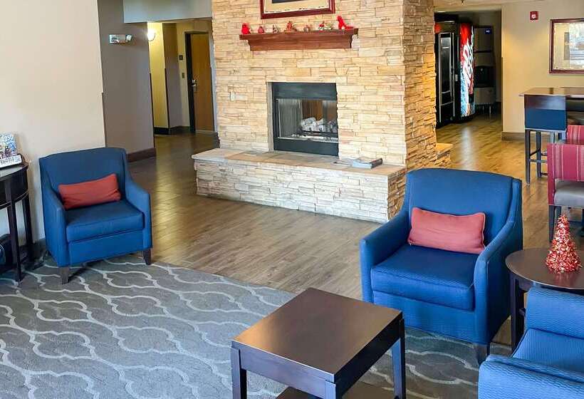 ホテル Comfort Inn & Suites Midtown