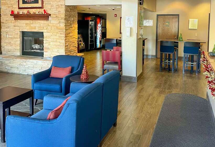 ホテル Comfort Inn & Suites Midtown