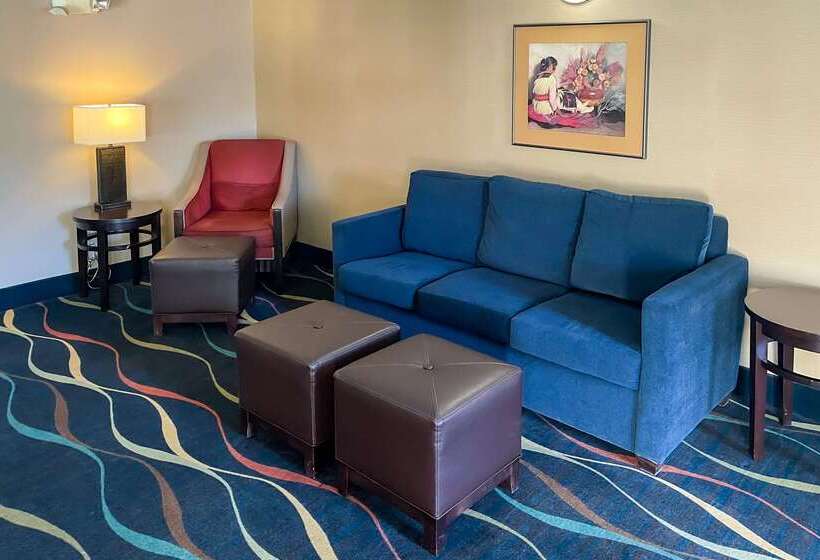 ホテル Comfort Inn & Suites Midtown