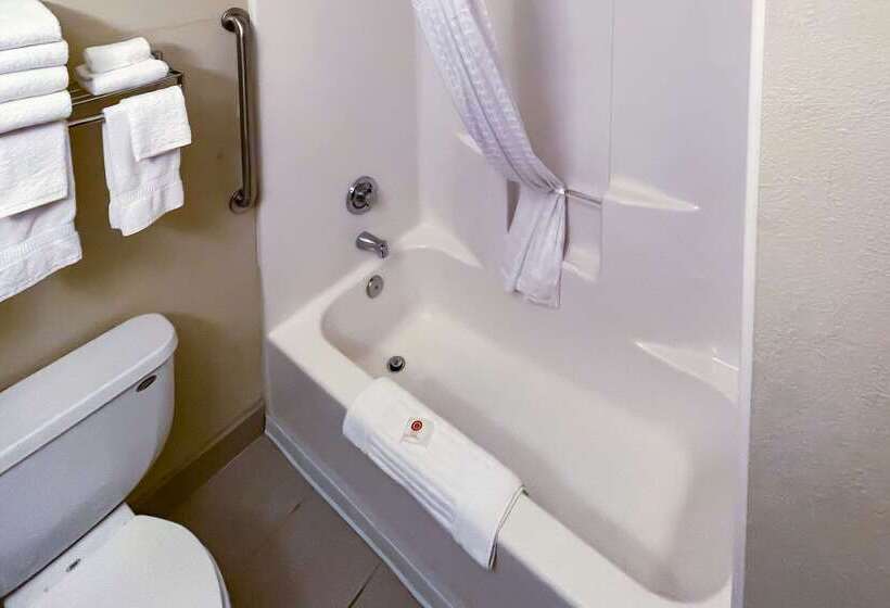 ホテル Comfort Inn & Suites Midtown