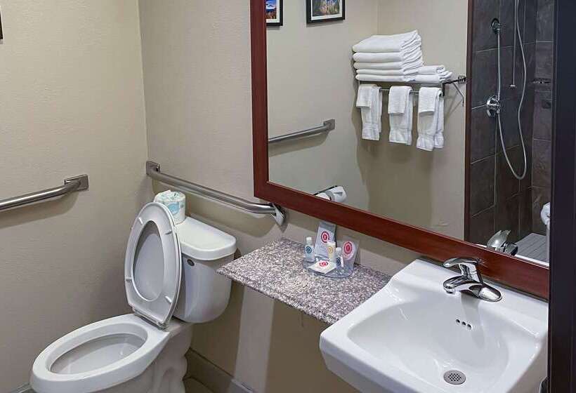 ホテル Comfort Inn & Suites Midtown