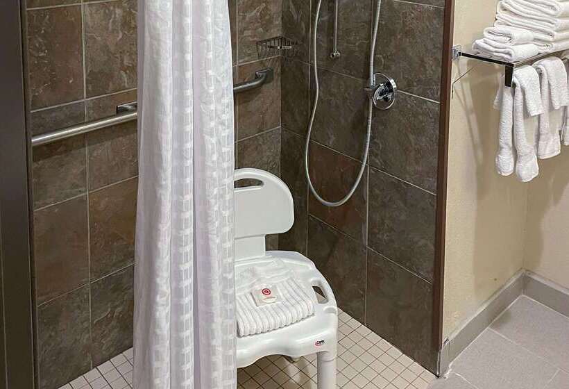 ホテル Comfort Inn & Suites Midtown