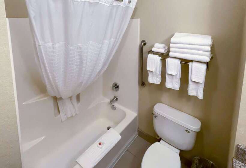 ホテル Comfort Inn & Suites Midtown