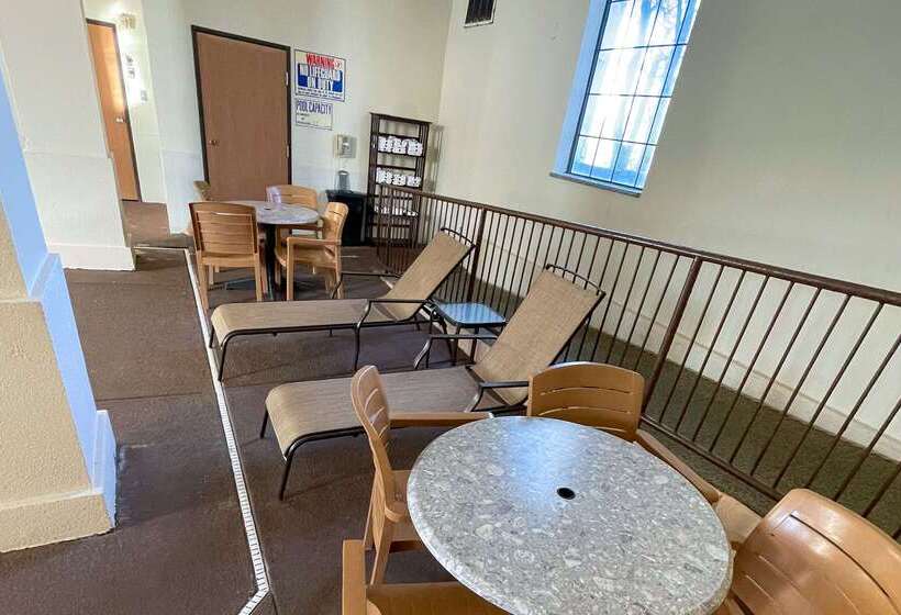 ホテル Comfort Inn & Suites Midtown