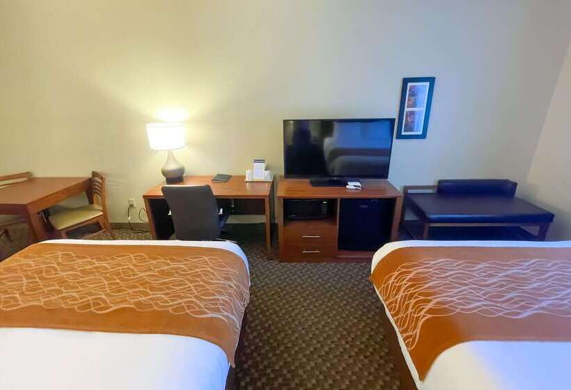 ホテル Comfort Inn & Suites Midtown