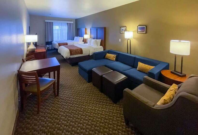ホテル Comfort Inn & Suites Midtown
