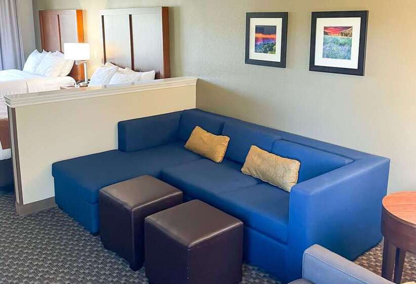 ホテル Comfort Inn & Suites Midtown