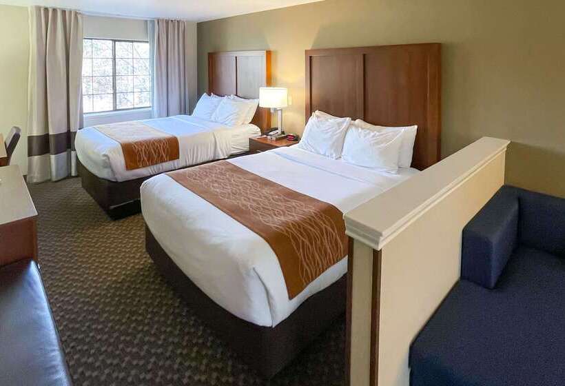 ホテル Comfort Inn & Suites Midtown