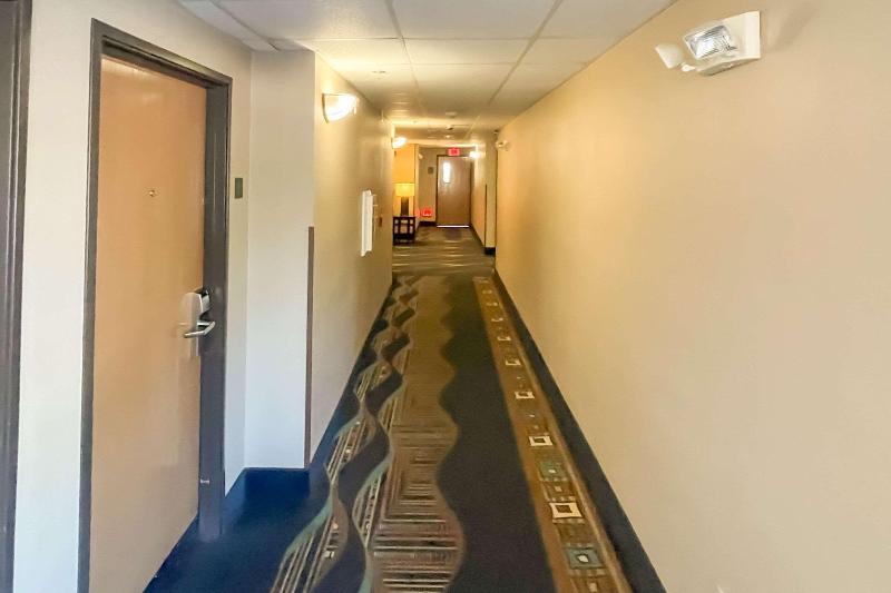 ホテル Comfort Inn & Suites Midtown