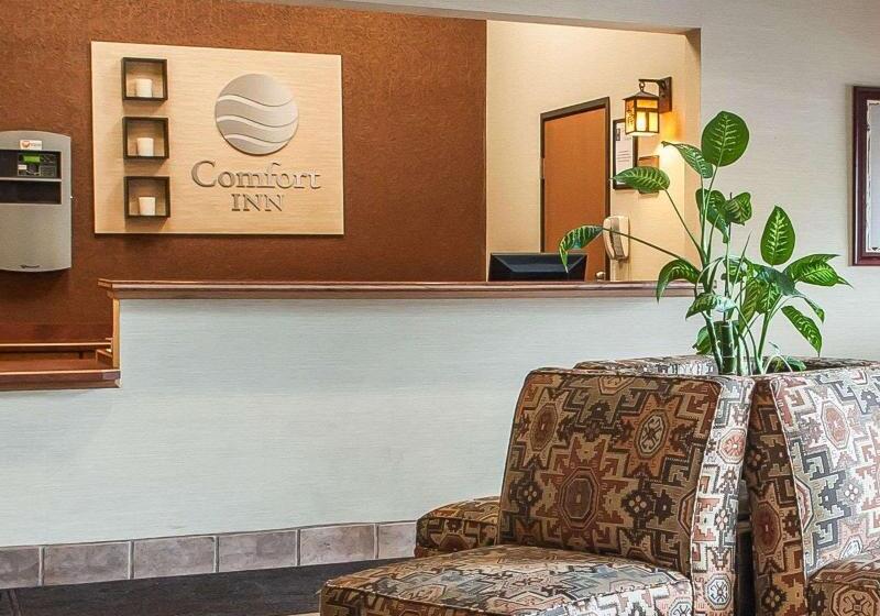 ホテル Comfort Inn & Suites Midtown