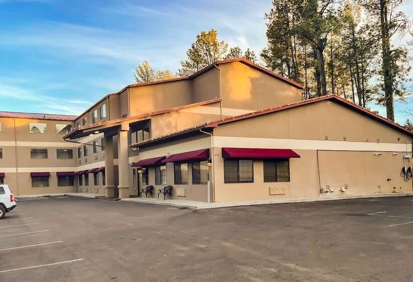 ホテル Comfort Inn & Suites Midtown