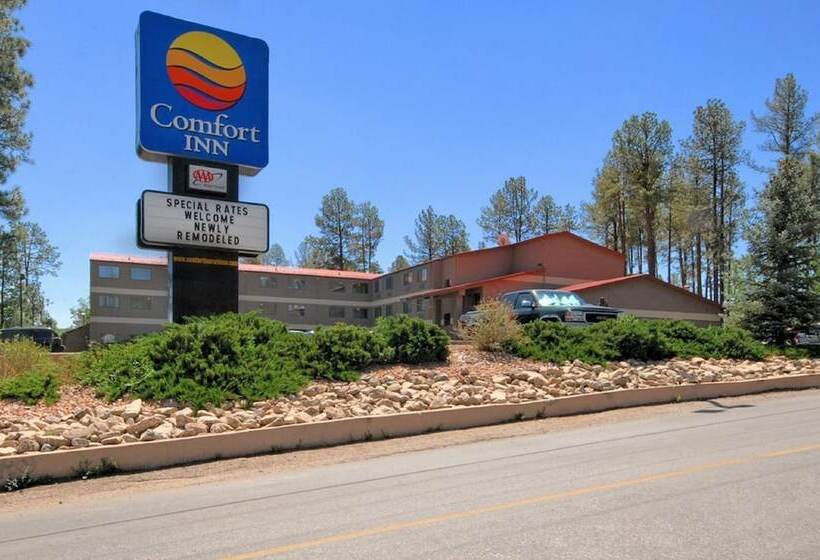 ホテル Comfort Inn & Suites Midtown