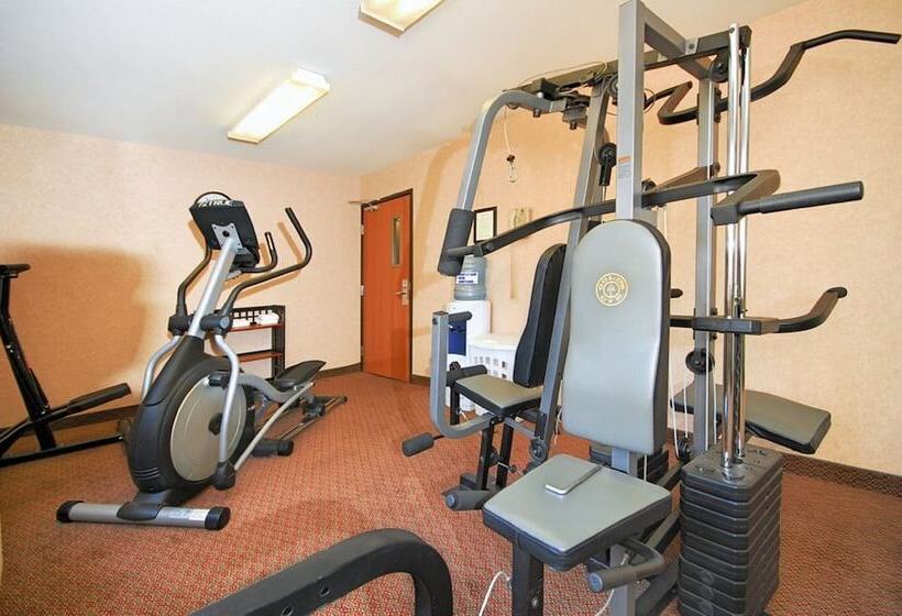 ホテル Comfort Inn & Suites Midtown