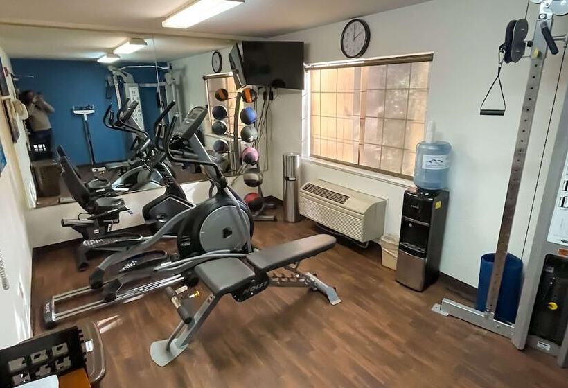 ホテル Comfort Inn & Suites Midtown