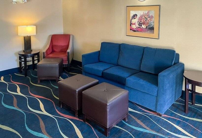 ホテル Comfort Inn & Suites Midtown