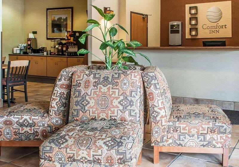 ホテル Comfort Inn & Suites Midtown