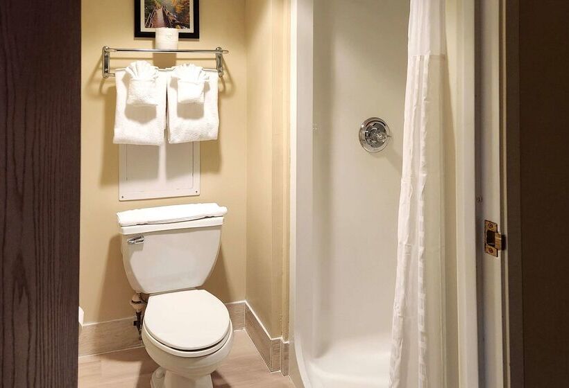 فندق Comfort Inn & Suites Near Pocono Mountains