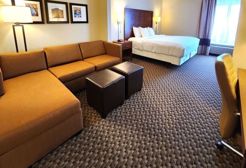 فندق Comfort Inn & Suites Near Pocono Mountains