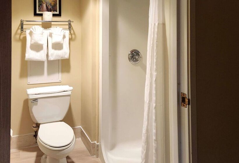 فندق Comfort Inn & Suites Near Pocono Mountains