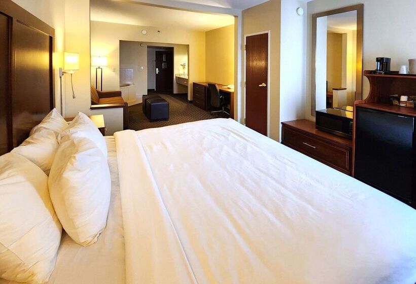 فندق Comfort Inn & Suites Near Pocono Mountains