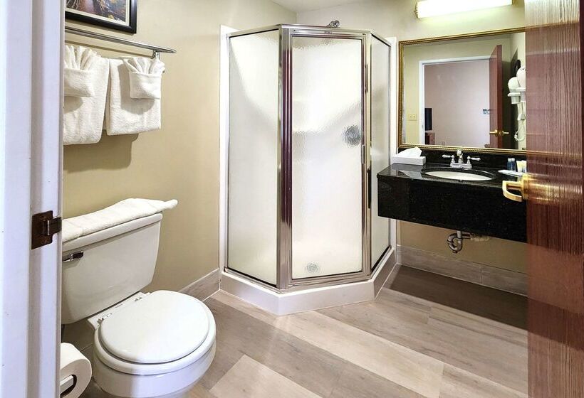 فندق Comfort Inn & Suites Near Pocono Mountains