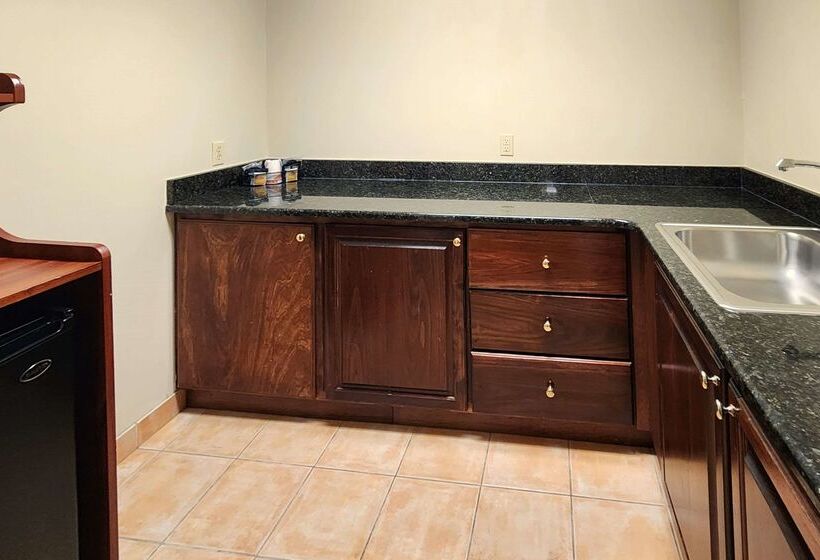 فندق Comfort Inn & Suites Near Pocono Mountains