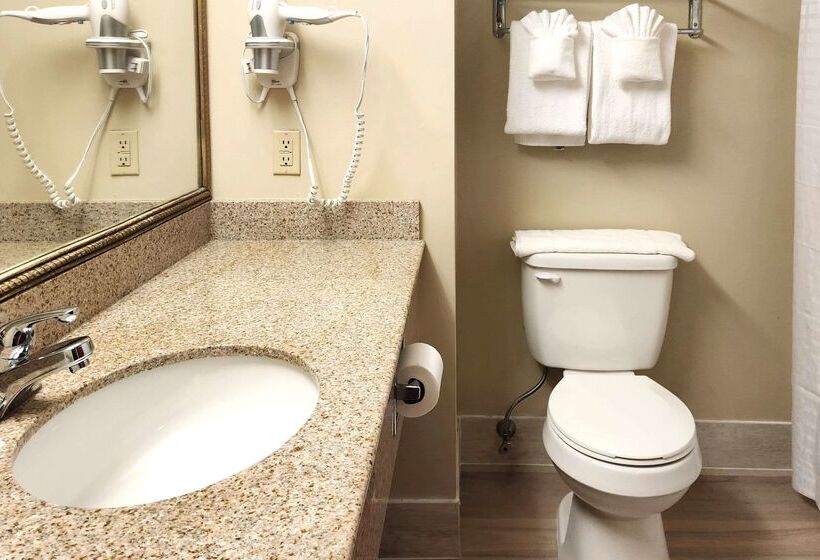 فندق Comfort Inn & Suites Near Pocono Mountains