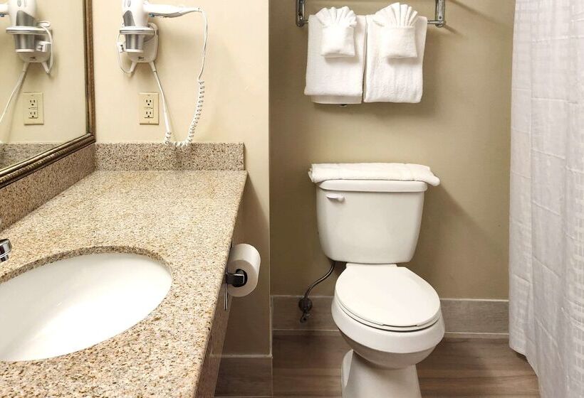 فندق Comfort Inn & Suites Near Pocono Mountains