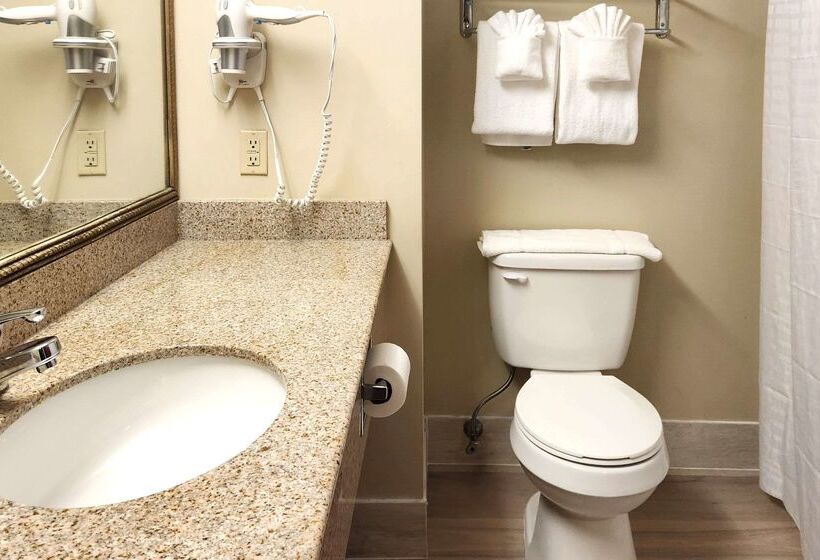 فندق Comfort Inn & Suites Near Pocono Mountains