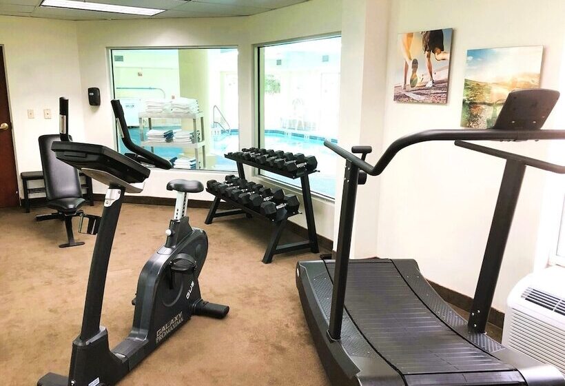 فندق Comfort Inn & Suites Near Pocono Mountains