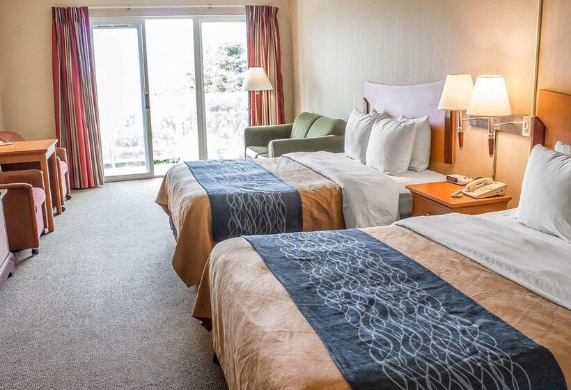 בית מלון כפרי Comfort Inn & Suites Ocean Shores