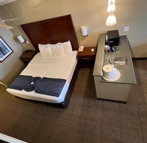 בית מלון כפרי Comfort Inn & Suites Ocean Shores