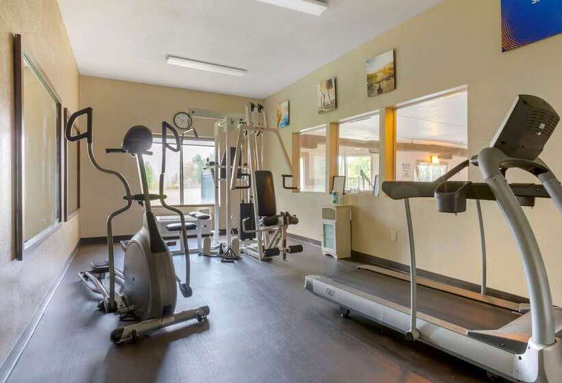 فندق Comfort Inn & Suites