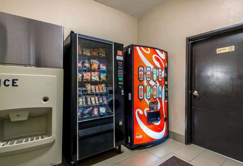 فندق Comfort Inn & Suites