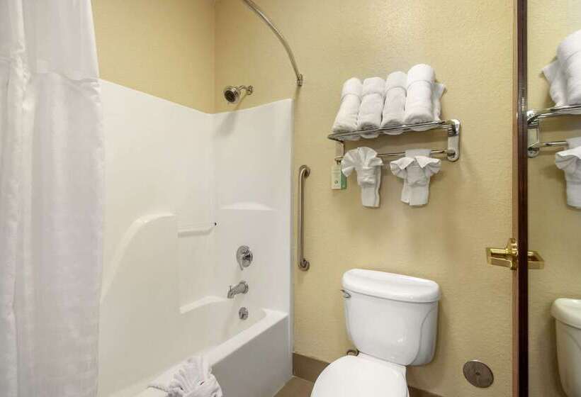 فندق Comfort Inn & Suites