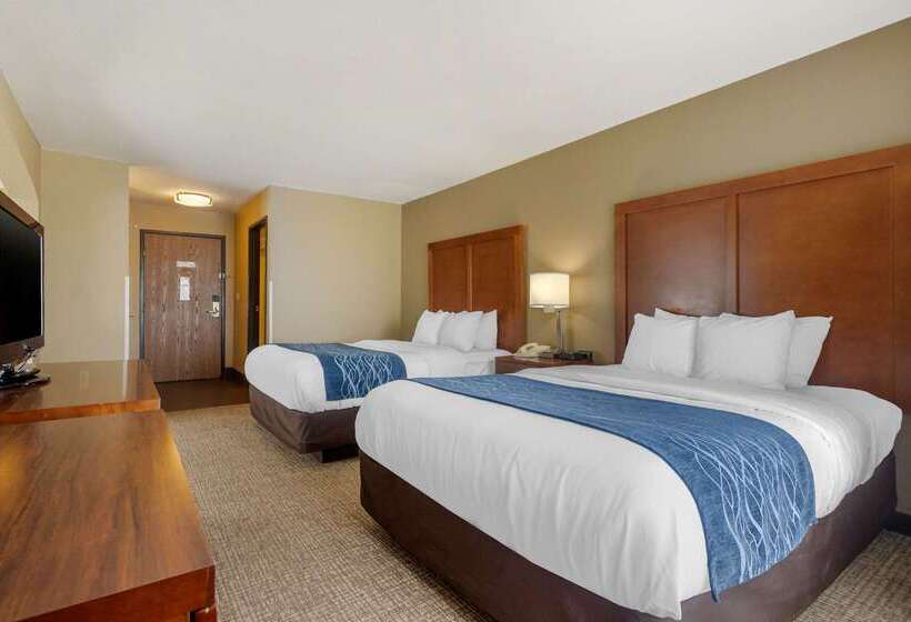 فندق Comfort Inn & Suites