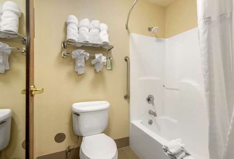 فندق Comfort Inn & Suites