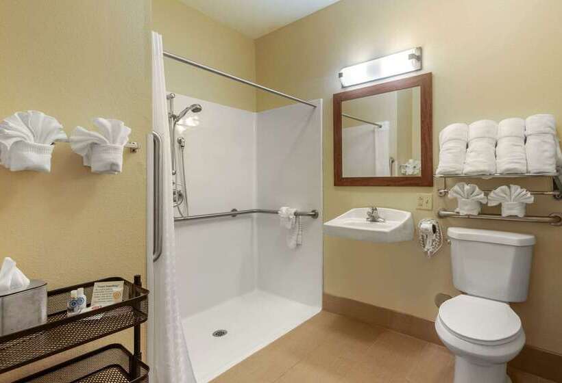 فندق Comfort Inn & Suites