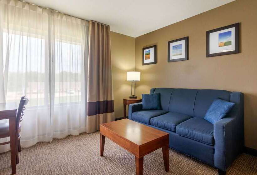 فندق Comfort Inn & Suites