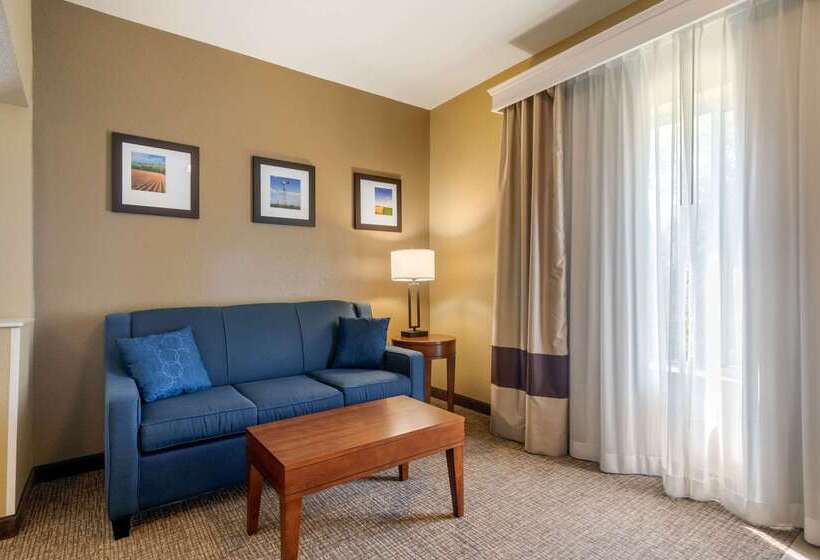 فندق Comfort Inn & Suites