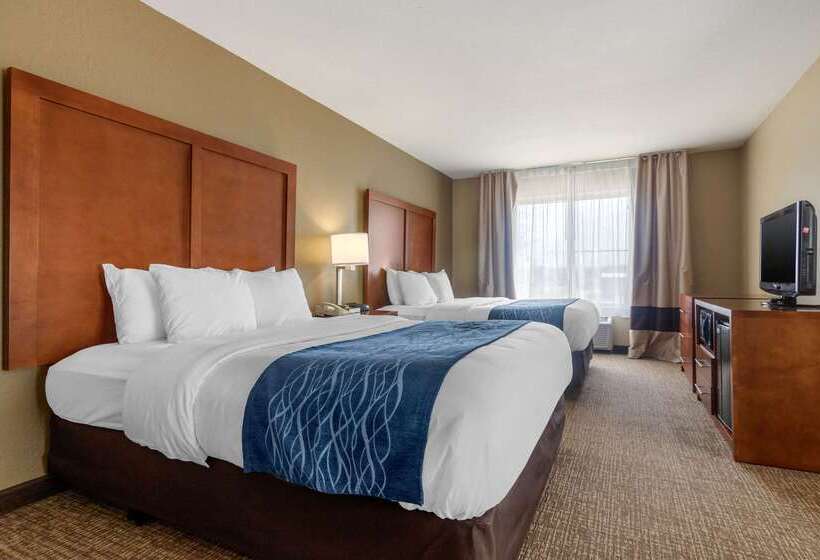 فندق Comfort Inn & Suites