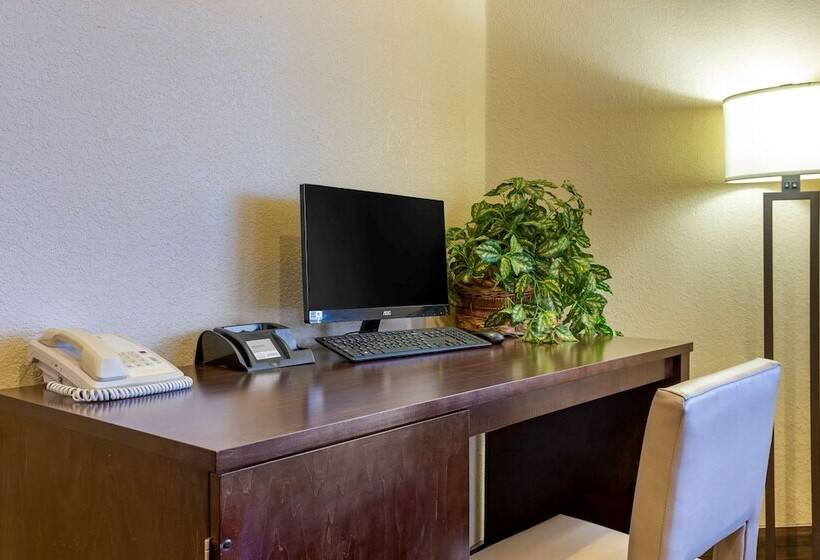 فندق Comfort Inn & Suites