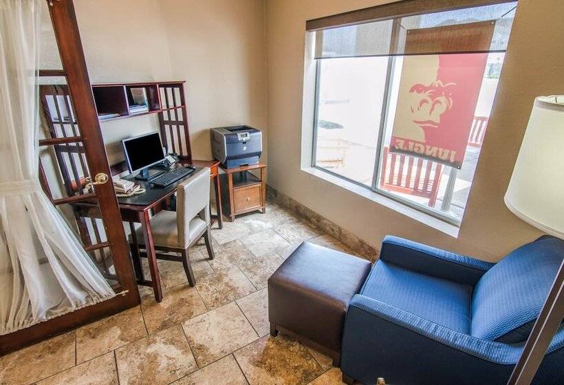 فندق Comfort Inn & Suites