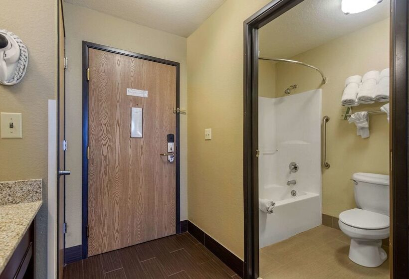 فندق Comfort Inn & Suites