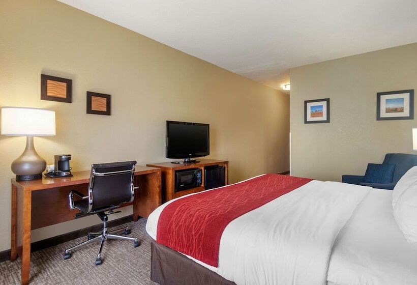 فندق Comfort Inn & Suites