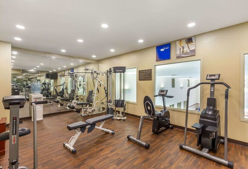 هتل Comfort Inn & Suites