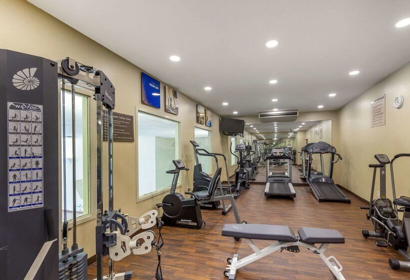 בית מלון כפרי Comfort Inn & Suites