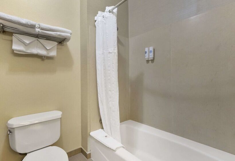 בית מלון כפרי Comfort Inn & Suites