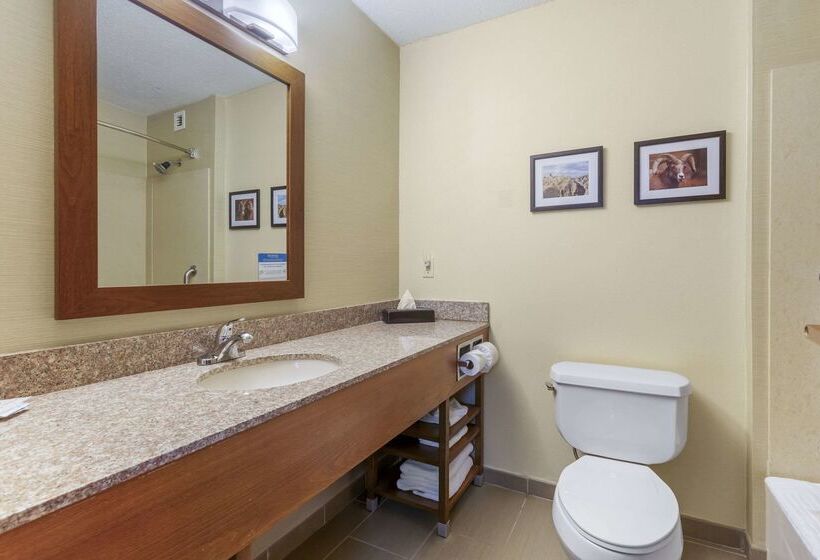 בית מלון כפרי Comfort Inn & Suites